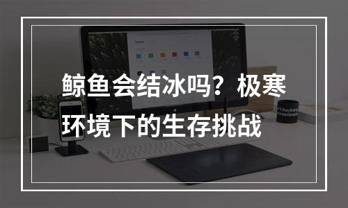 鲸鱼会结冰吗？极寒环境下的生存挑战