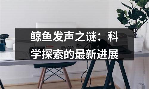 鲸鱼发声之谜：科学探索的最新进展