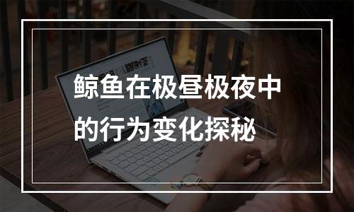 鲸鱼在极昼极夜中的行为变化探秘