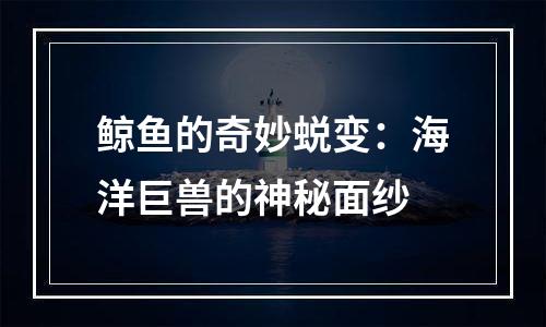 鲸鱼的奇妙蜕变：海洋巨兽的神秘面纱