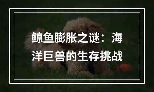 鲸鱼膨胀之谜：海洋巨兽的生存挑战