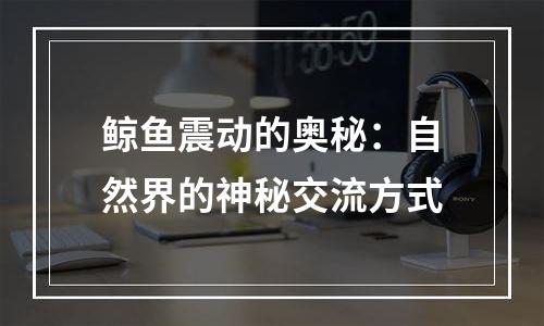 鲸鱼震动的奥秘：自然界的神秘交流方式