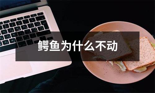 鳄鱼为什么不动
