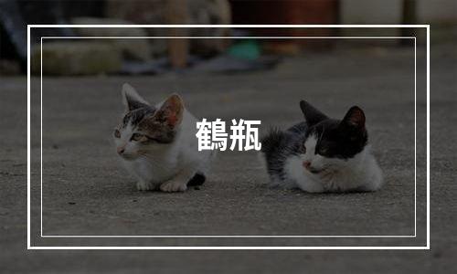 鶴瓶&松本の怪人図鑑：日本社会の奇妙な人々を紹介