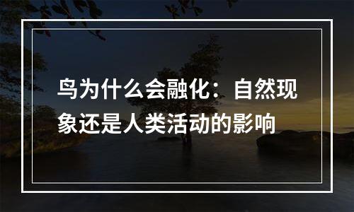 鸟为什么会融化：自然现象还是人类活动的影响