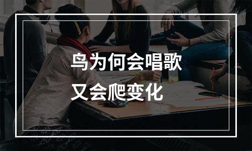 鸟为何会唱歌又会爬变化