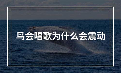 鸟会唱歌为什么会震动