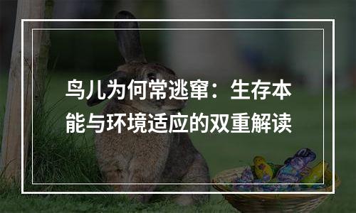 鸟儿为何常逃窜：生存本能与环境适应的双重解读
