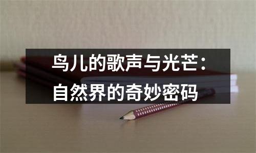 鸟儿的歌声与光芒：自然界的奇妙密码