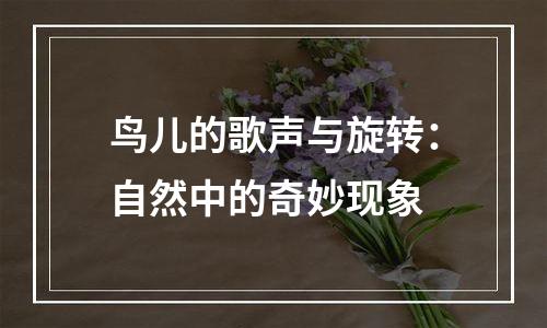 鸟儿的歌声与旋转：自然中的奇妙现象
