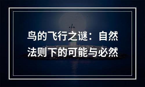 鸟的飞行之谜：自然法则下的可能与必然