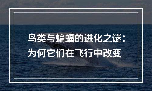 鸟类与蝙蝠的进化之谜：为何它们在飞行中改变