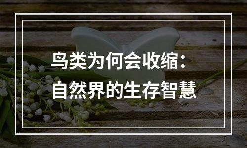 鸟类为何会收缩：自然界的生存智慧