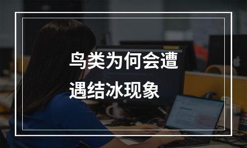 鸟类为何会遭遇结冰现象
