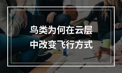 鸟类为何在云层中改变飞行方式