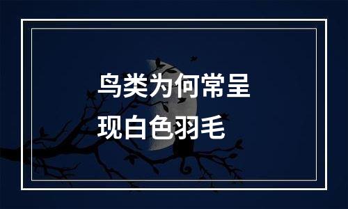 鸟类为何常呈现白色羽毛