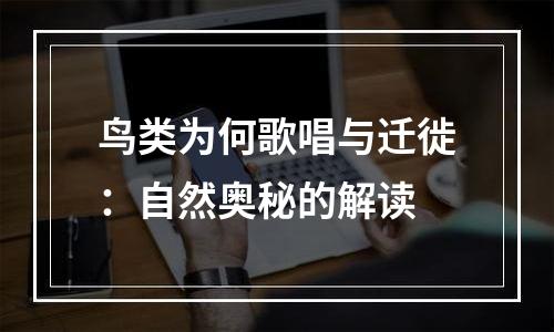 鸟类为何歌唱与迁徙：自然奥秘的解读