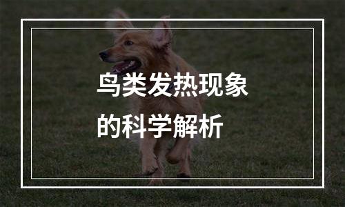 鸟类发热现象的科学解析