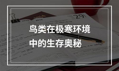 鸟类在极寒环境中的生存奥秘