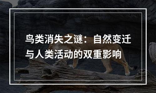 鸟类消失之谜：自然变迁与人类活动的双重影响