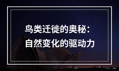 鸟类迁徙的奥秘：自然变化的驱动力