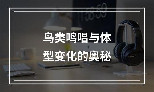 鸟类鸣唱与体型变化的奥秘
