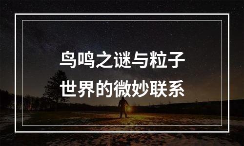 鸟鸣之谜与粒子世界的微妙联系