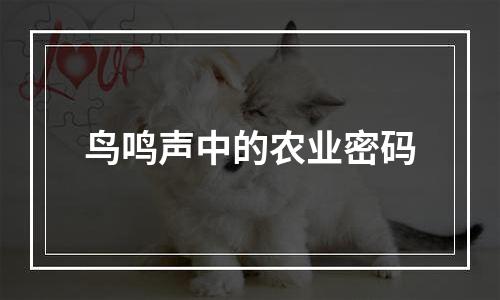 鸟鸣声中的农业密码