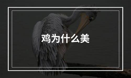 鸡为什么美