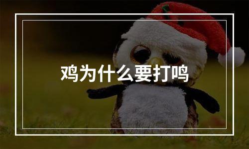 鸡为什么要打鸣