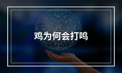 鸡为何会打鸣
