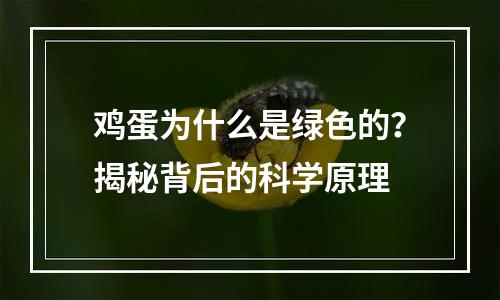鸡蛋为什么是绿色的？揭秘背后的科学原理