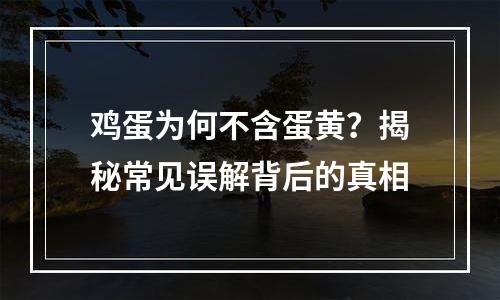 鸡蛋为何不含蛋黄？揭秘常见误解背后的真相
