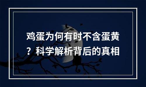 鸡蛋为何有时不含蛋黄？科学解析背后的真相