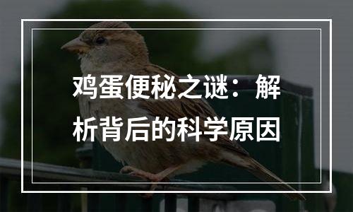 鸡蛋便秘之谜：解析背后的科学原因