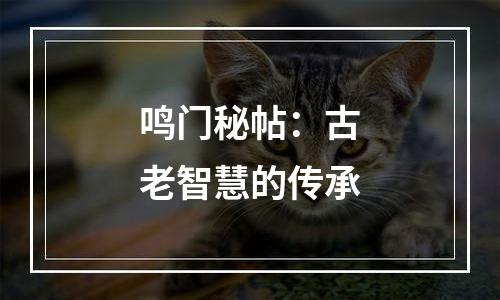 鸣门秘帖：古老智慧的传承