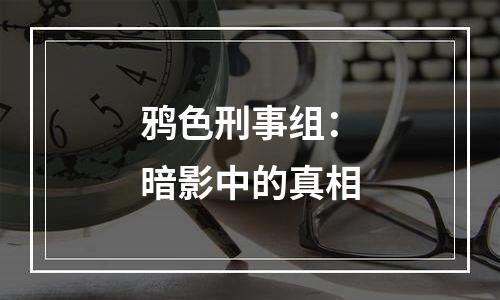 鸦色刑事组：暗影中的真相