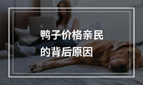 鸭子价格亲民的背后原因