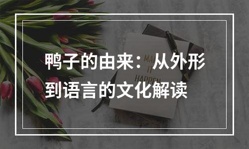鸭子的由来：从外形到语言的文化解读