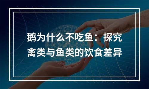 鹅为什么不吃鱼：探究禽类与鱼类的饮食差异