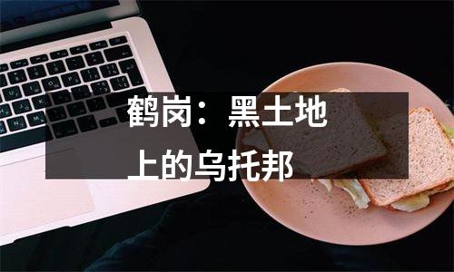 鹤岗：黑土地上的乌托邦