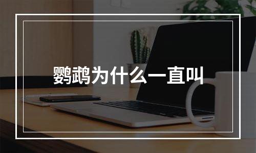 鹦鹉为什么一直叫