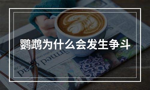 鹦鹉为什么会发生争斗