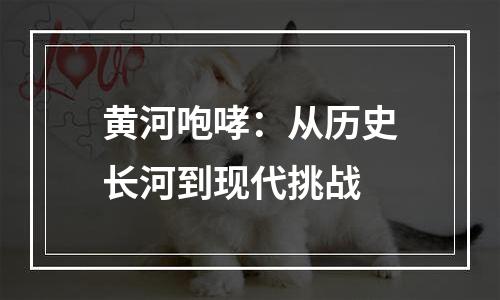 黄河咆哮：从历史长河到现代挑战