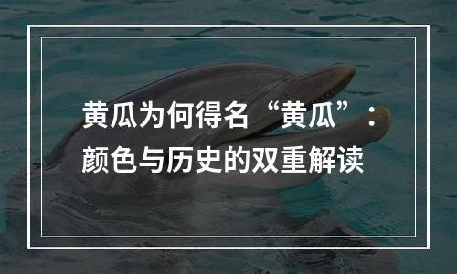 黄瓜为何得名“黄瓜”：颜色与历史的双重解读