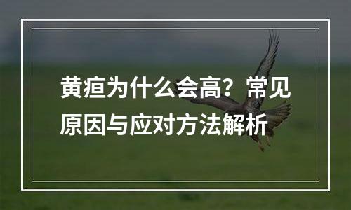 黄疸为什么会高？常见原因与应对方法解析