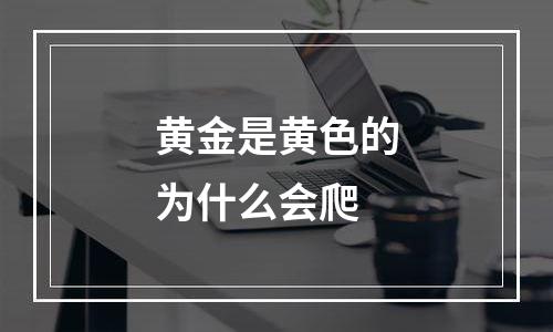 黄金是黄色的为什么会爬