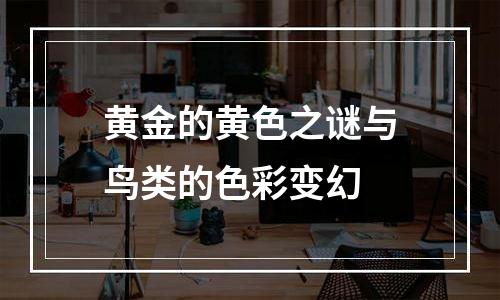 黄金的黄色之谜与鸟类的色彩变幻