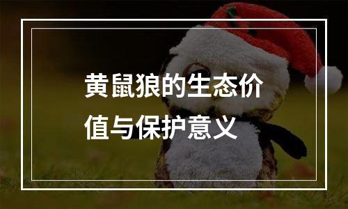 黄鼠狼的生态价值与保护意义
