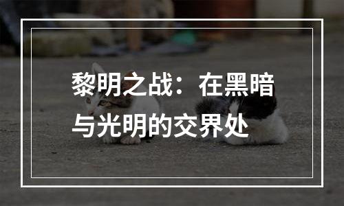 黎明之战：在黑暗与光明的交界处